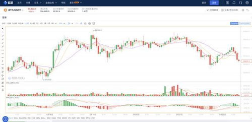 加密货币投资指南：如何慧眼识“良币”
